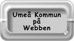 Umeå på internet